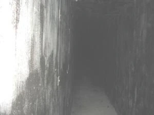 Picture provided by B7C 10/19/2022